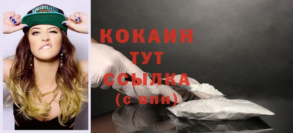 первитин Инта