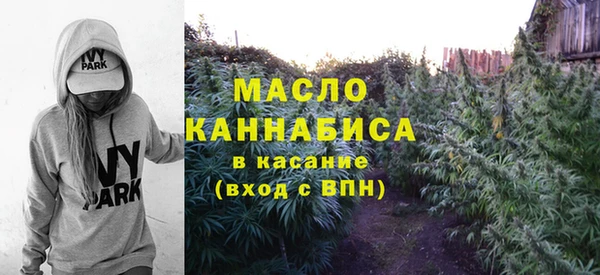 первитин Инта