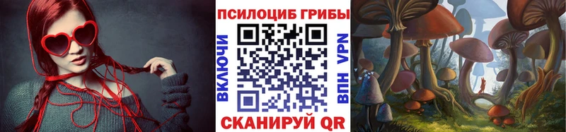 Купить закладки  Гурьевск  Галлюциногенные грибы GOLDEN TEACHER 