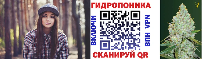 Бошки Шишки SATIVA & INDICA  Купить закладки  Гурьевск 